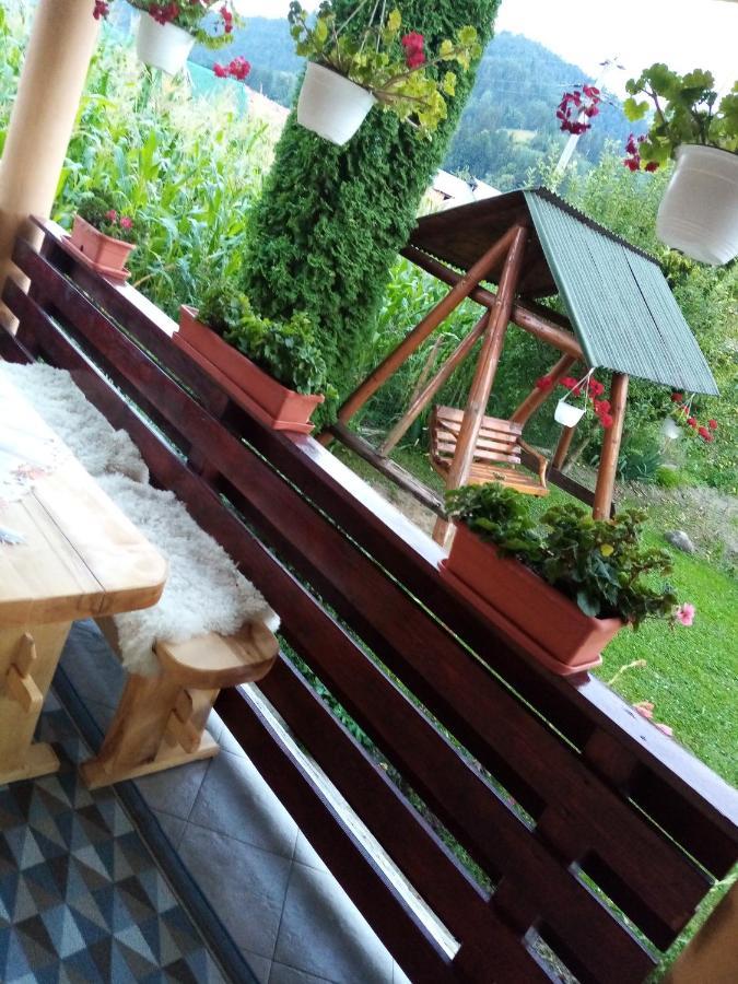 Casa Prundari Nicu Si Mirela Hotel Poiana Teiului Ngoại thất bức ảnh