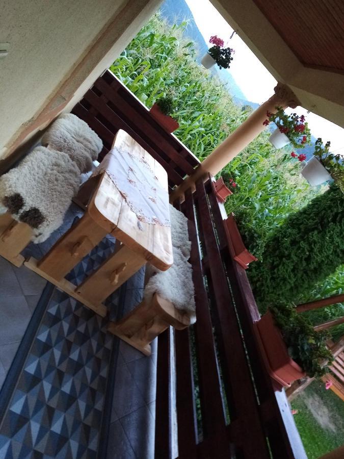 Casa Prundari Nicu Si Mirela Hotel Poiana Teiului Ngoại thất bức ảnh