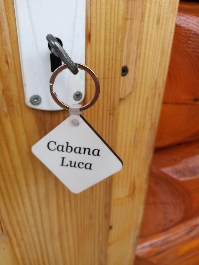 Casa Prundari Nicu Si Mirela Hotel Poiana Teiului Ngoại thất bức ảnh