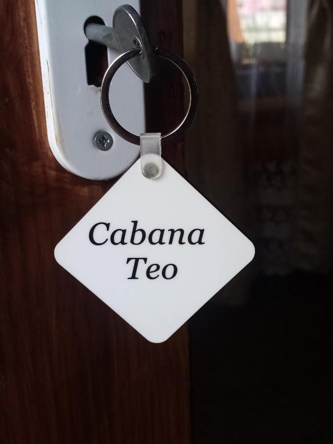 Casa Prundari Nicu Si Mirela Hotel Poiana Teiului Ngoại thất bức ảnh